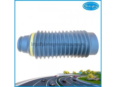 Chụp Bụi Phuộc Trước Raize 2021