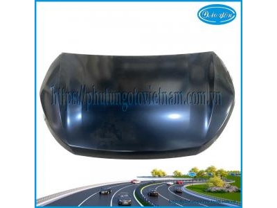 Nắp Ca Bô Wigo 2023