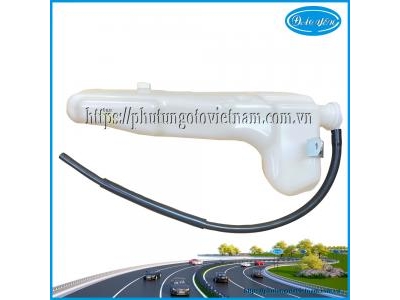 Bình Nước Phụ Wigo 2023