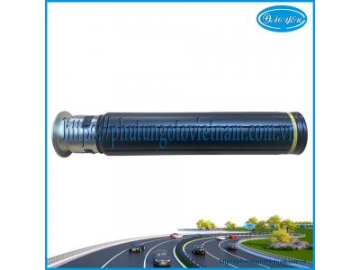 Chụp Bụi Phuộc Sau Wigo 2023