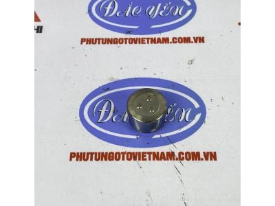Piston Phanh Trước Hilux 2009- 2012 47731-0K060